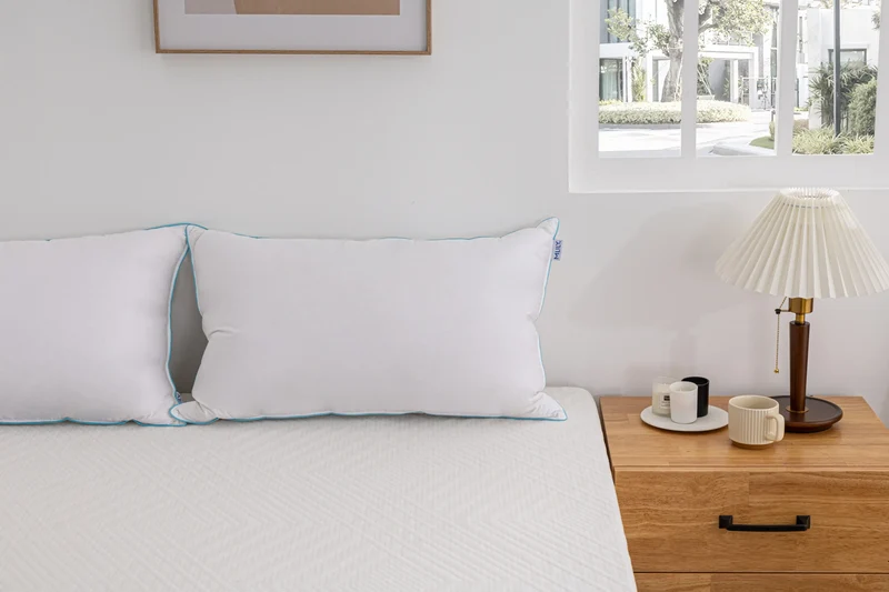 Ethically Sourced Down Pillow
