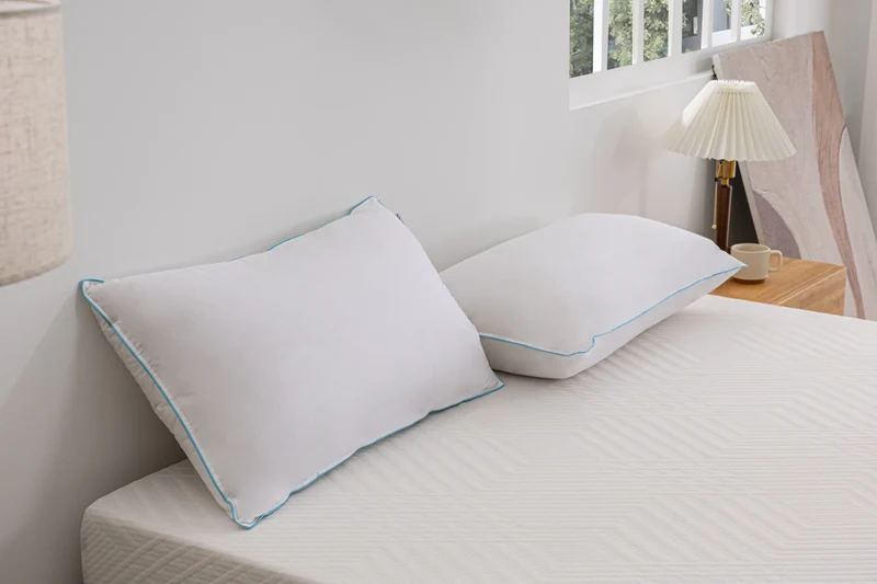 Ethically Sourced Down Pillow