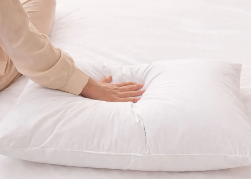 Oreiller en plumes et duvet