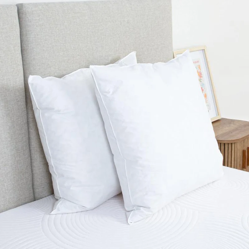 Oreiller Plumes et duvet NATURA