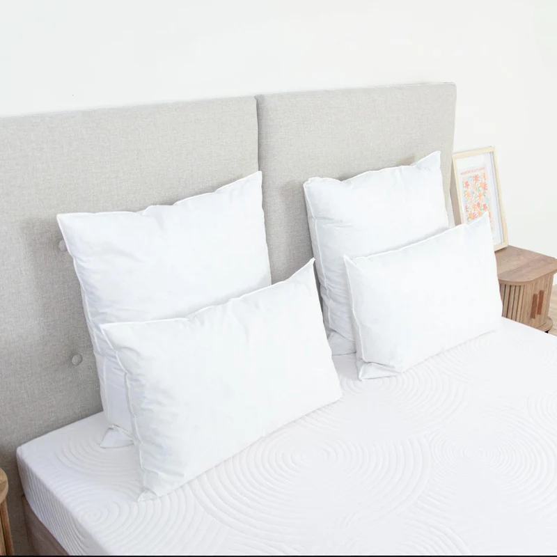 Oreiller Plumes et duvet NATURA