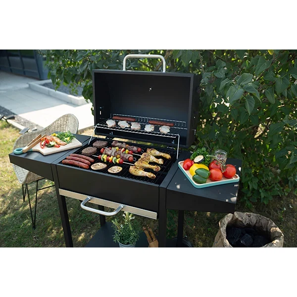 Barbecue à charbon rectangle DOC250 Livoo