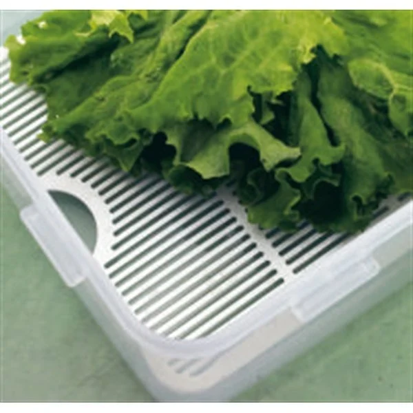 Boîte haute et grille fraîcheur 5,5 L Lock and Lock