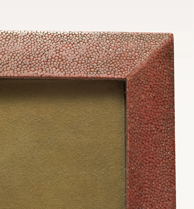 Shagreen Frame