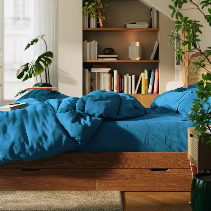 Drap plat percale
