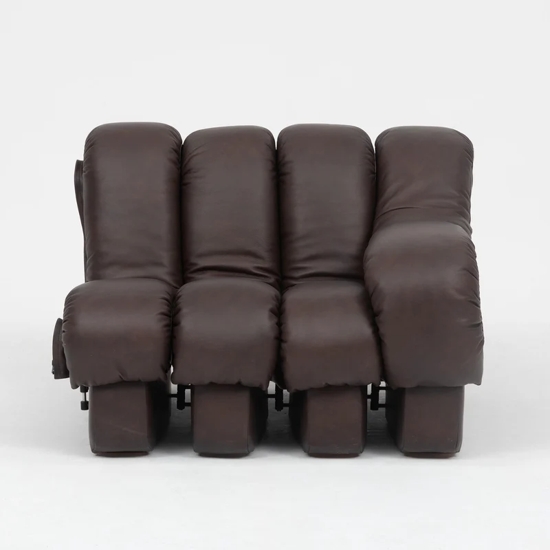 De Sede DS-600 'Snake' Sofa by Ueli Berger, Customised in Chocolate Nubuck
