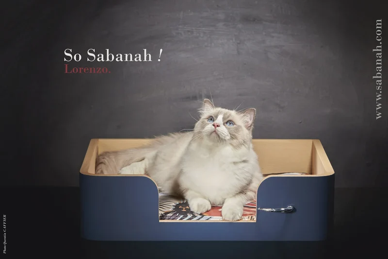 « Drôle de Panier » pour chat - Bleu Nuit