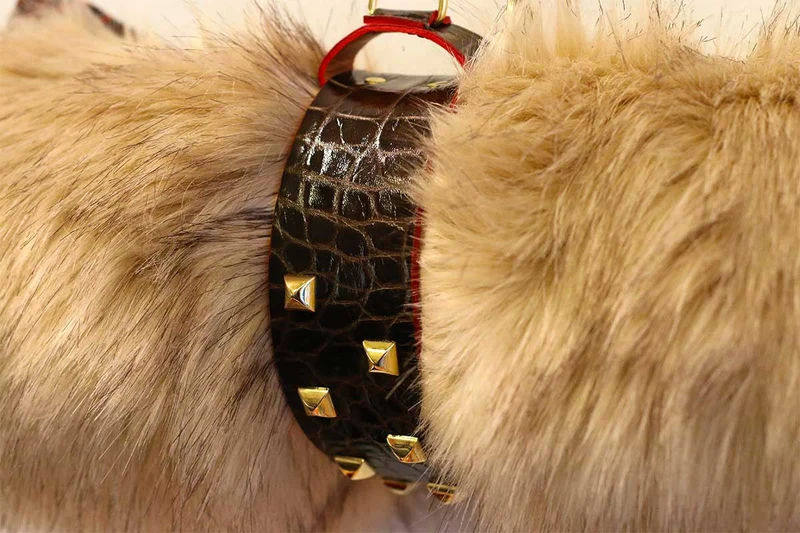 Couverture pour chien « Metis » Africa - Tissu Jean-Paul Gaultier