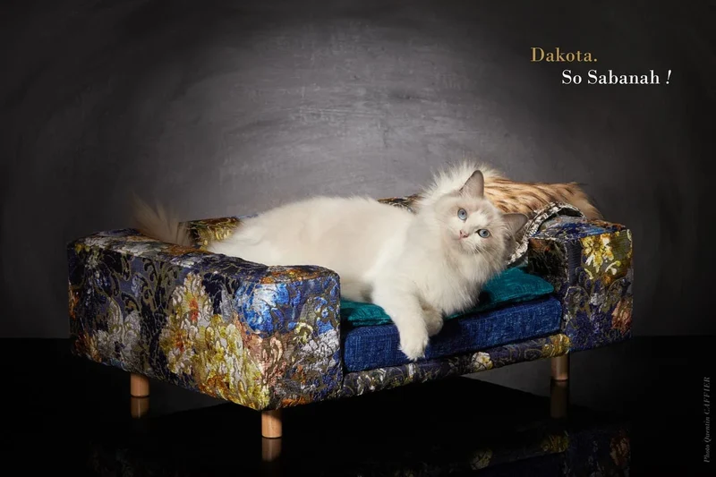 Canapé pour chat « Le Couture » Palace (Rose ou Bleu)