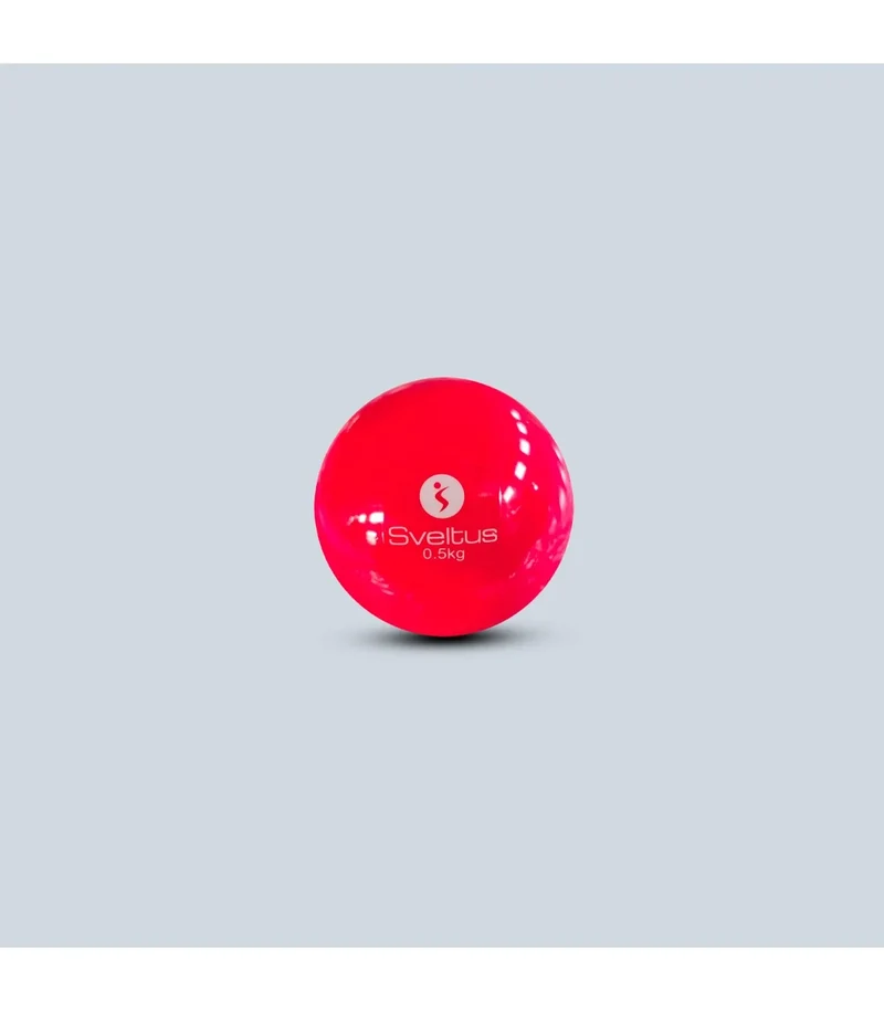 Balle Lestée 2 kg