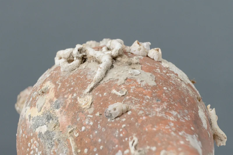 Amphore de mer 'Rhodes'