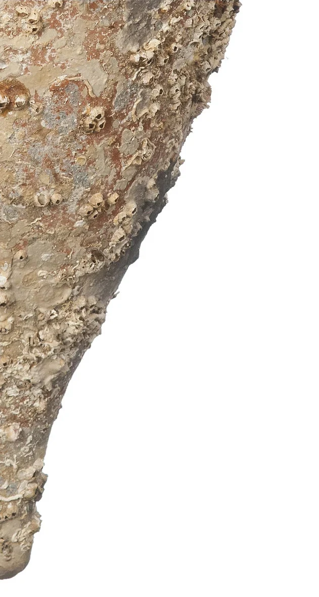 Amphore de mer antique 'Almagro'