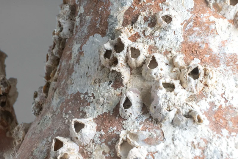 Amphore de mer antique 'Gadir'