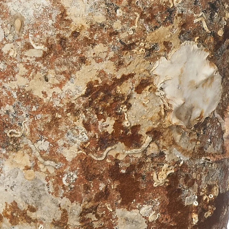 Amphore de mer antique 'Lusitania'