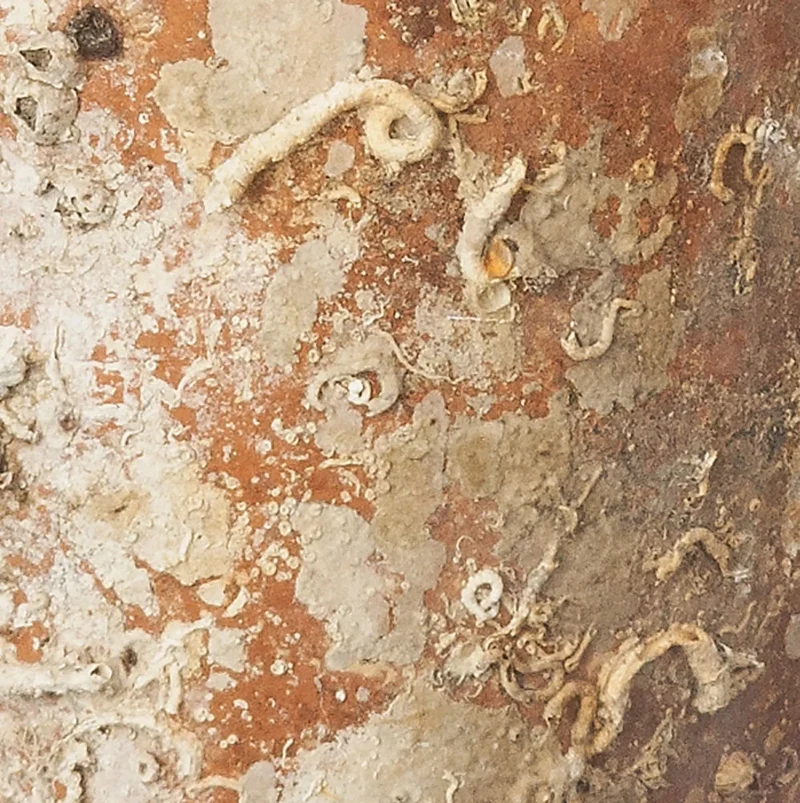 Amphore de mer antique 'Maiorica'