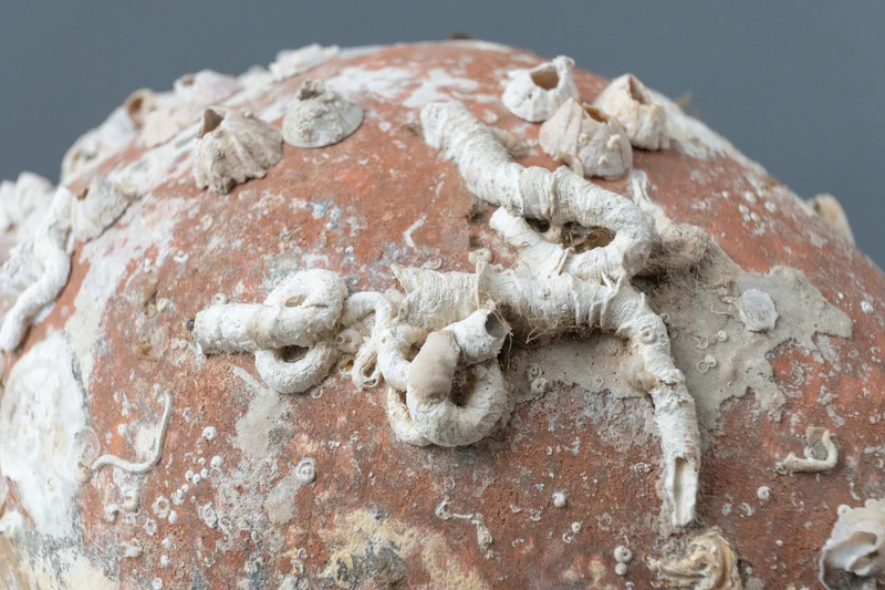 Amphore de mer antique 'Tirreno'