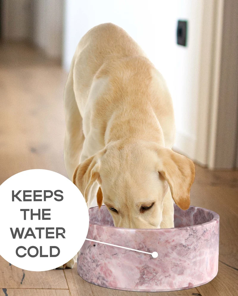 Bol pour Chien en Marbre (Rose et Beige)