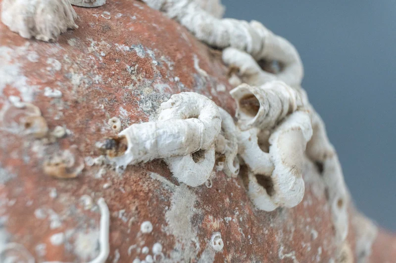 Bougeoir Amphore de mer antique