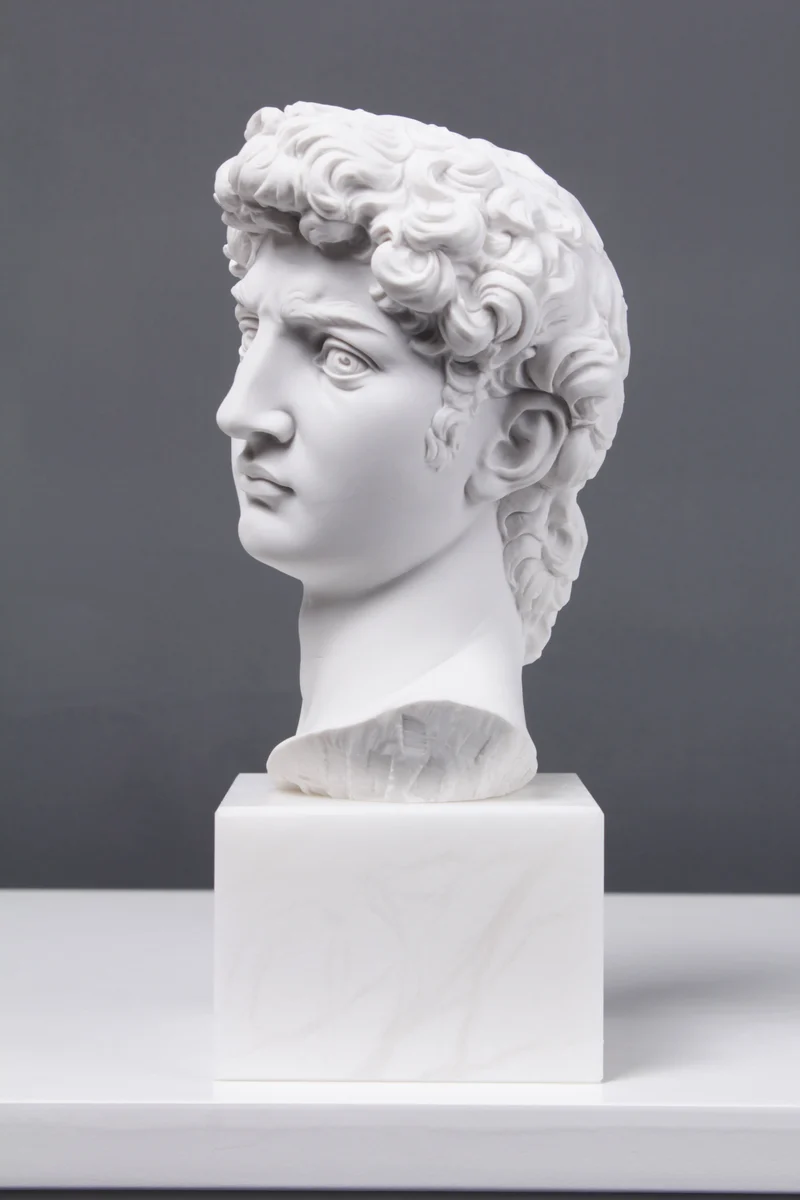 Buste de David (par Michel-Ange) - sculpture en marbre