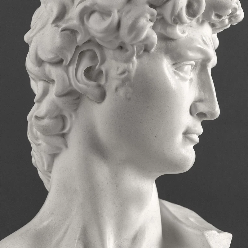 Buste de David par Michel-Ange sur Socle en Marbre Noir (Grand Modèle)