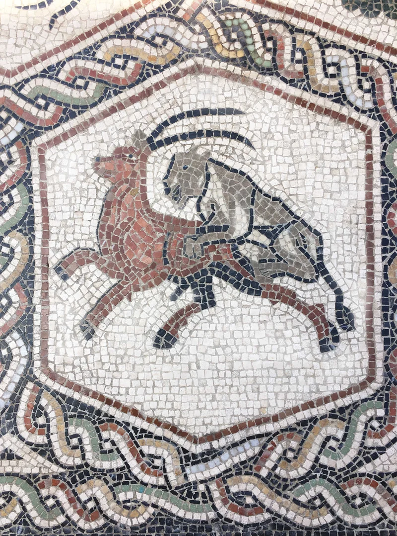 Mosaïque Tapis d'animaux - en marble