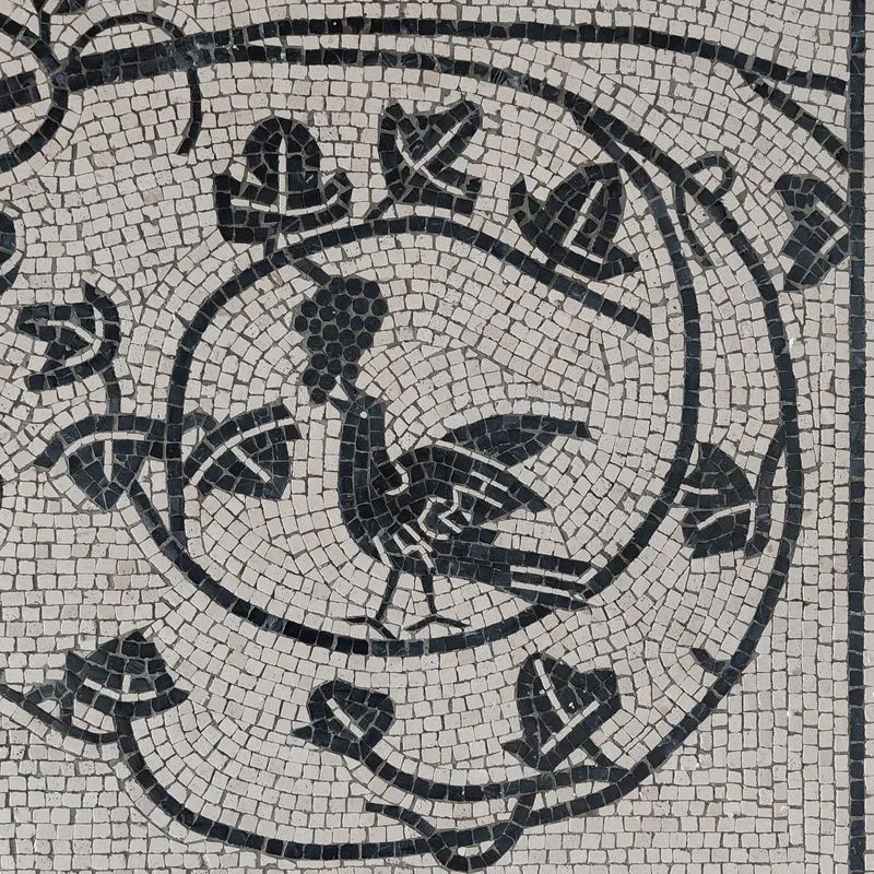 Mosaïque Vigne dans le krater - en marble