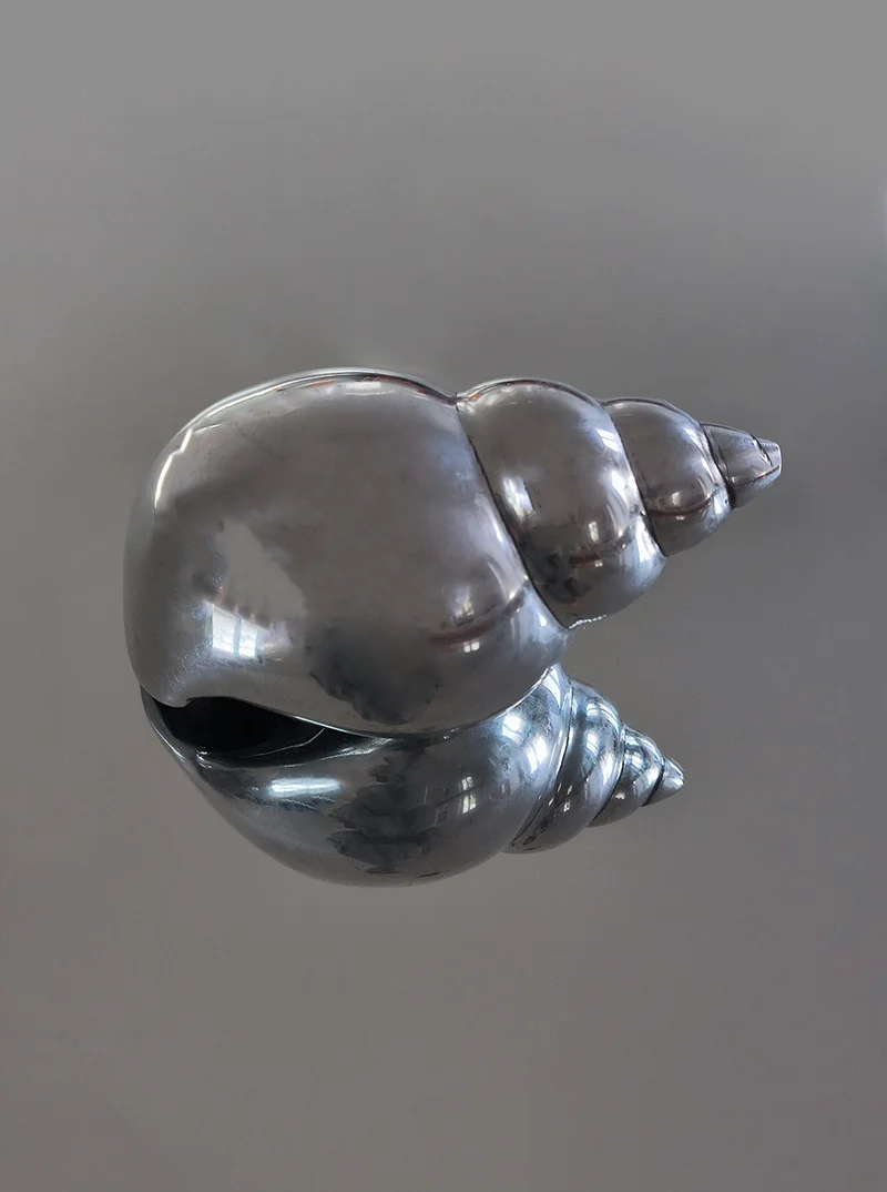 Shell Sculpture