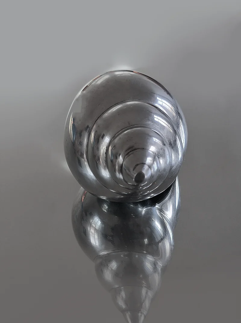 Shell Sculpture