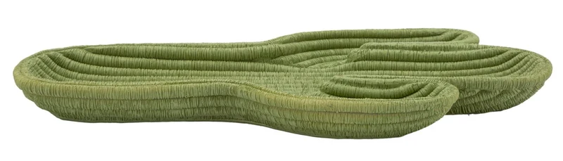 Plateau décoratif en résine verte – Cactus Modern Design