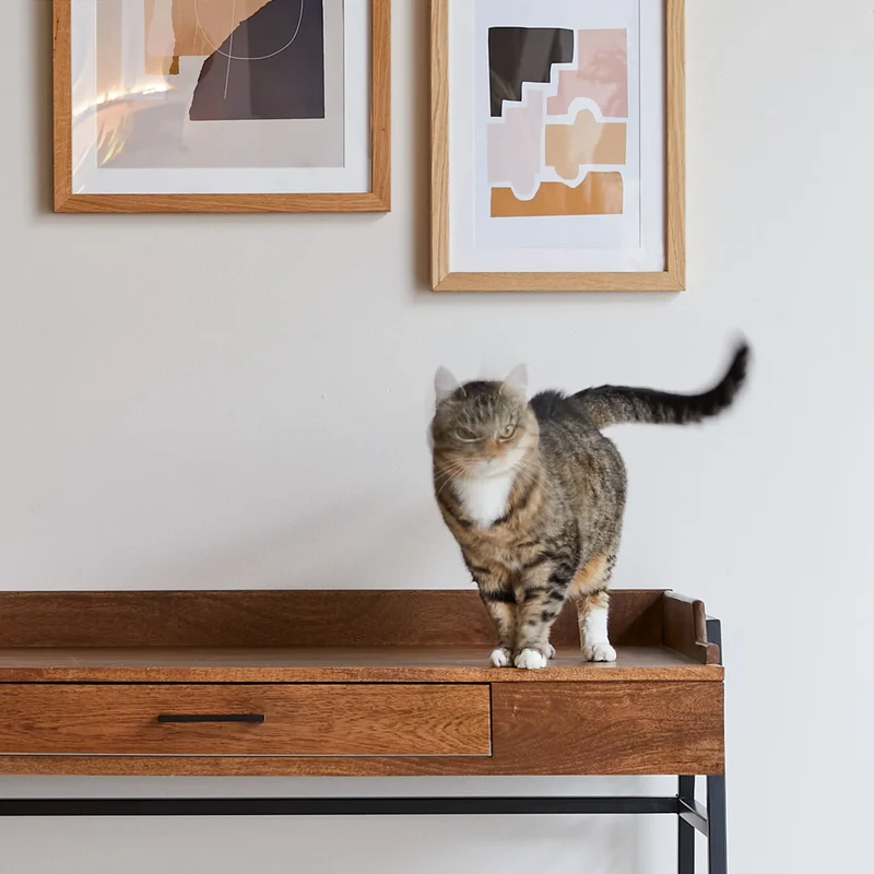 Hedda