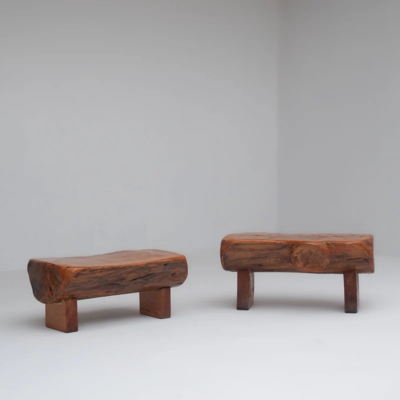 Pair of Rustic Wooden Sculptural Benches in Solid Wood
