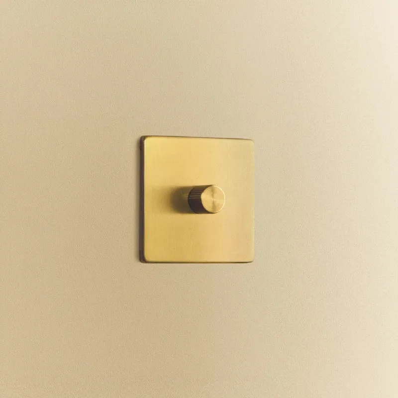 Single Rotary Wall Dimmer in Brass