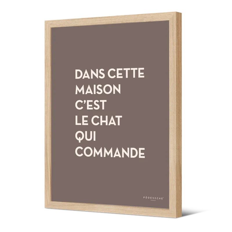 Affiche ou affiche encadrée Chat
