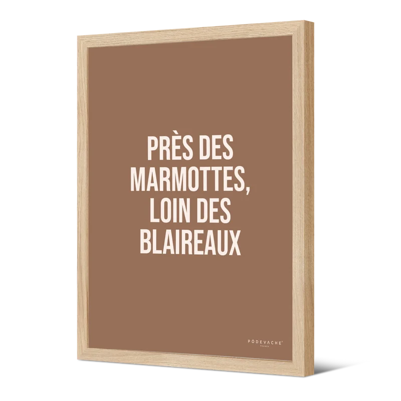 Affiche ou affiche encadrée Marmotte