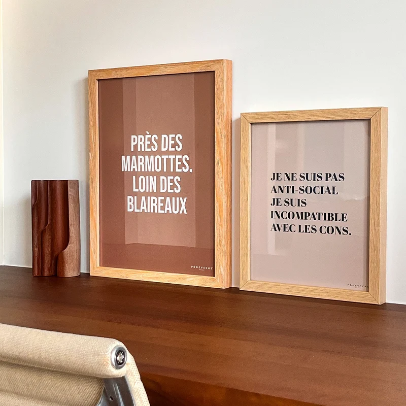 Affiche ou affiche encadrée Anti Social