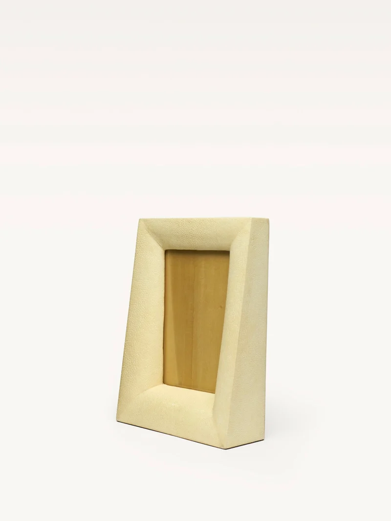 Shagreen Frame