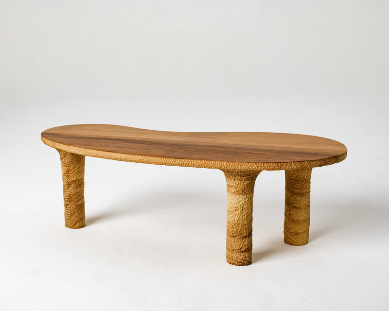 Organic Textured Coffee Table