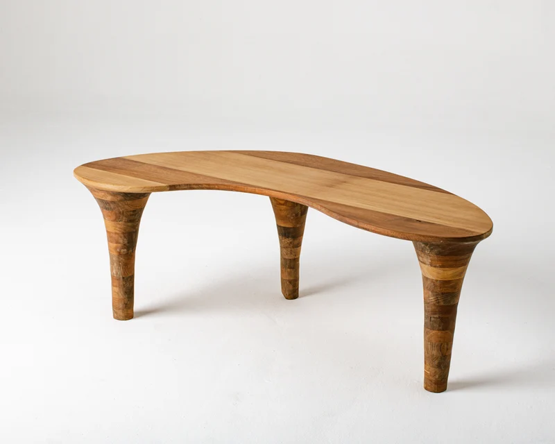 Organic Coffee Table