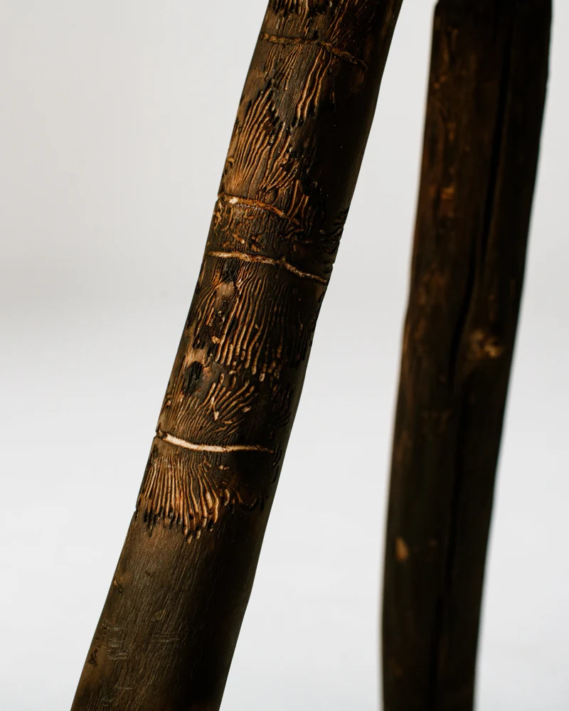 Burned Stool With Branches