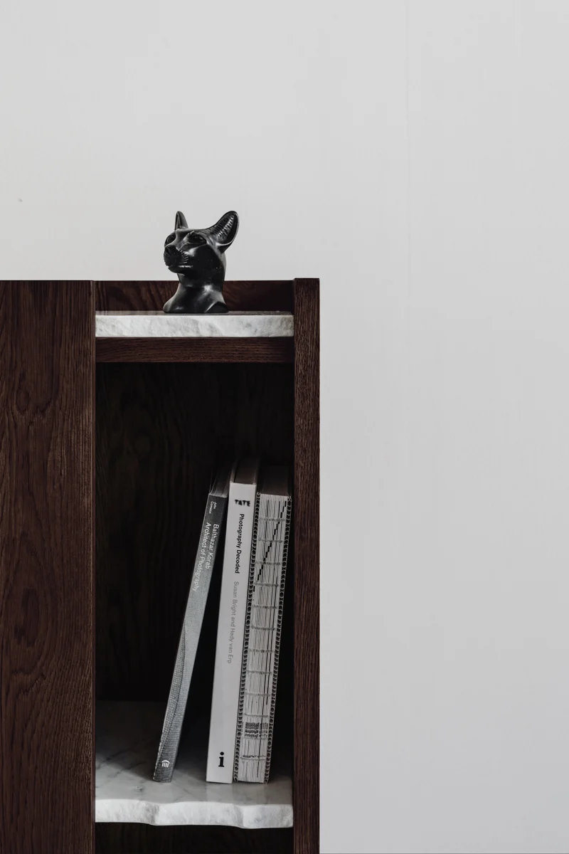 PAVO Cabinet