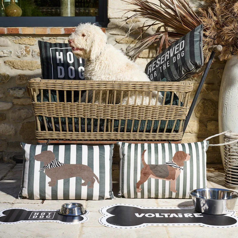 Coussin velours Stripes Dog
