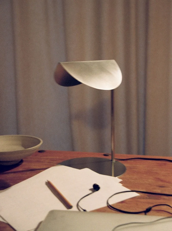 Stainless Steel Desk Lamp # 1
