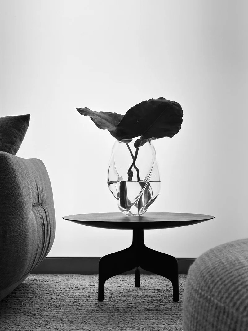 Alaia Coffee Table