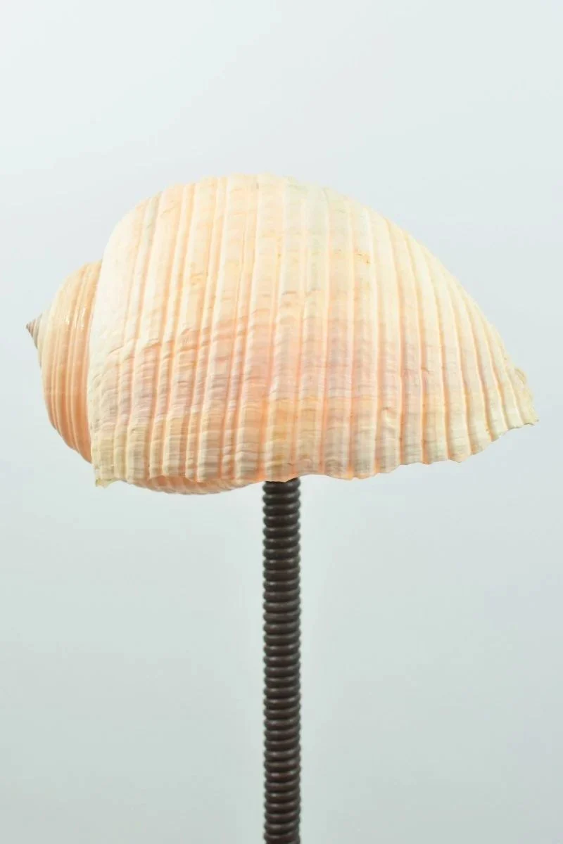 'L’Escargot' Table Lamp