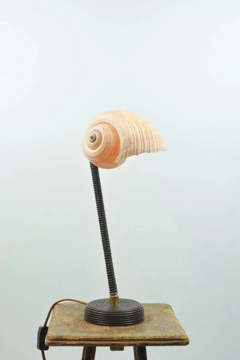 'L’Escargot' Table Lamp