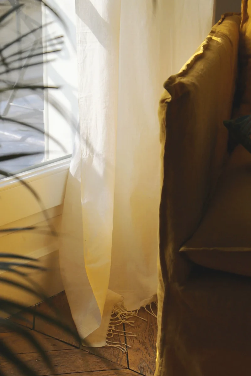 Rideau Ashoka