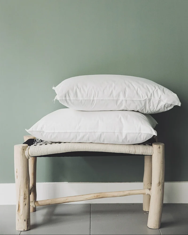 Intérieur de coussin