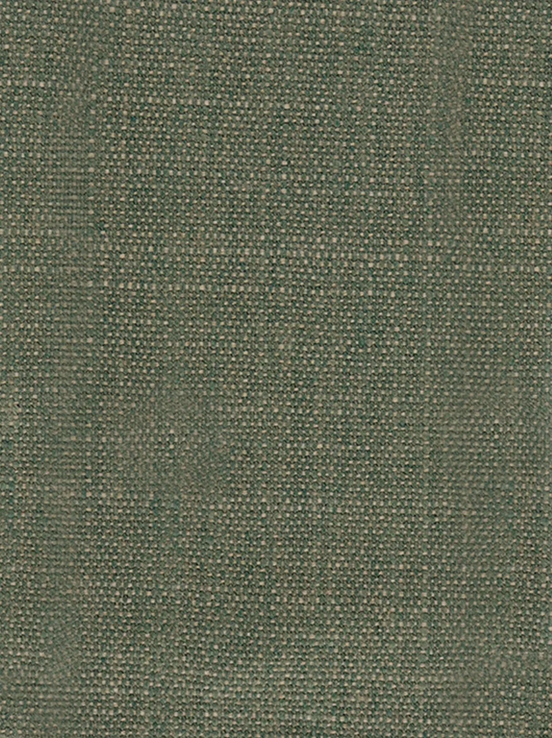 Échantillon tissu Anatole