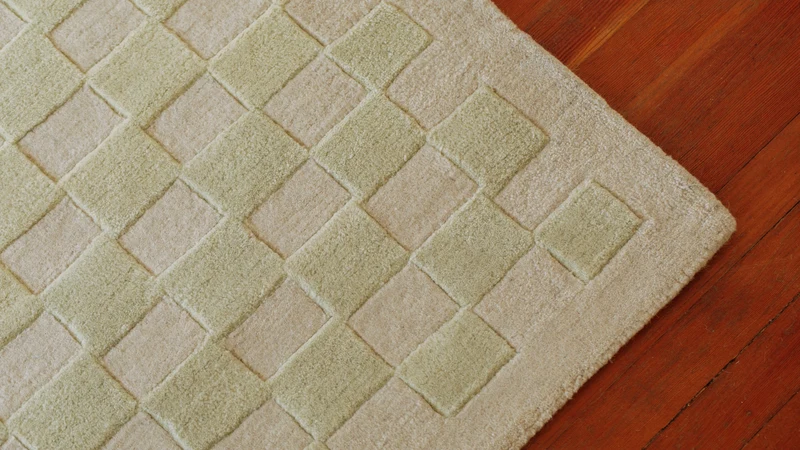 Checkers Rug x Scott Sueme, 5x7, Aloe