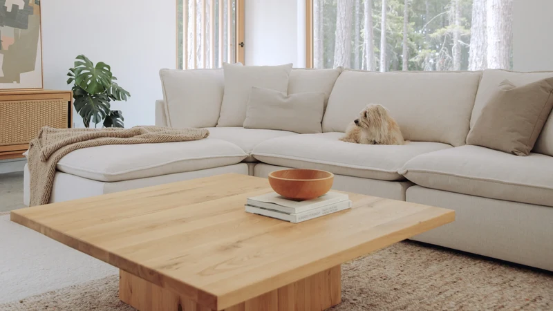 Chill Time 4-Piece Modular Sectional, Birch
